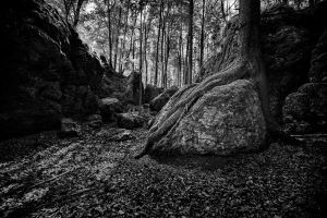 02 C W.Kleinoeder 2022 Stones Druidenhain 2
